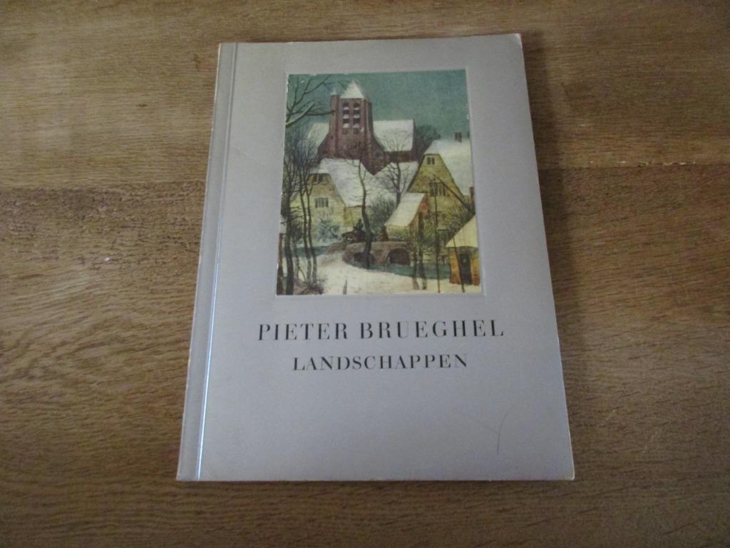 PIETER BRUEGHEL LANDSCHAPPEN REPRODUCTIES TEKST A. VERMEYLEN, Ophalen of Verzenden, Gelezen