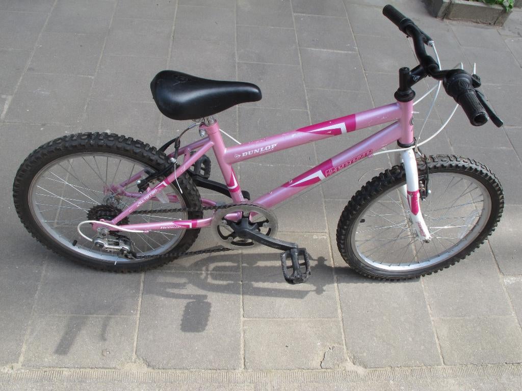 Fiets voor meisjes, Fietsen en Brommers, Ophalen, Zo goed als nieuw, 20 inch, Versnellingen