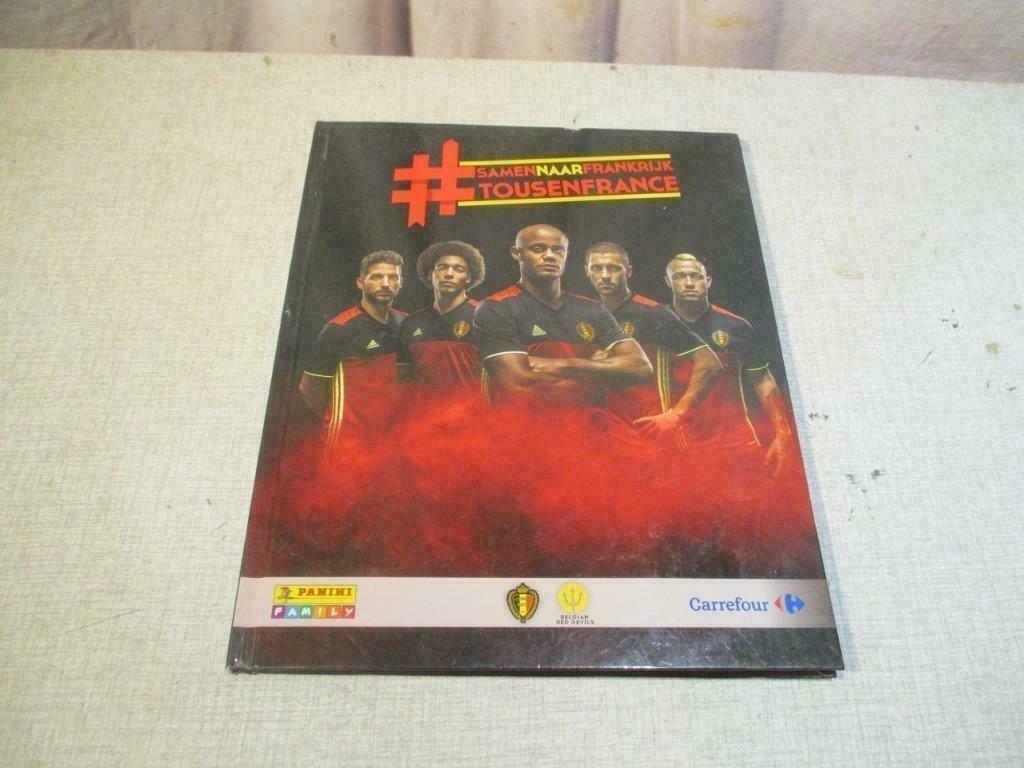 Livre d'images Panini Football - Ensemble pour la France, Enlèvement ou Envoi, Comme neuf, Livre d'images