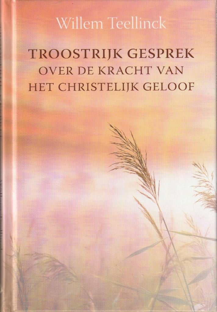 Troostrijk gesprek - Willem Teellinck, Livres, Religion & Théologie, Enlèvement ou Envoi, Comme neuf, Willem Teellinck, Christianisme | Catholique