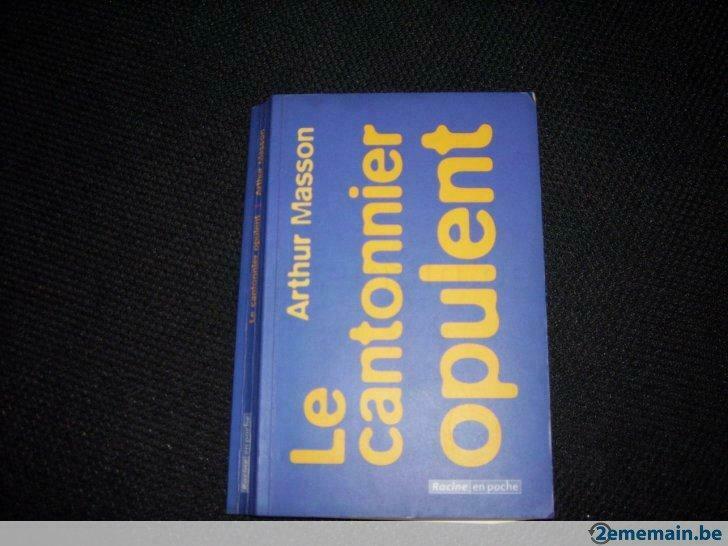 T le cantonnier opulent, d'Arthur Masson, Livres, Enlèvement, Utilisé, Arthur Masson