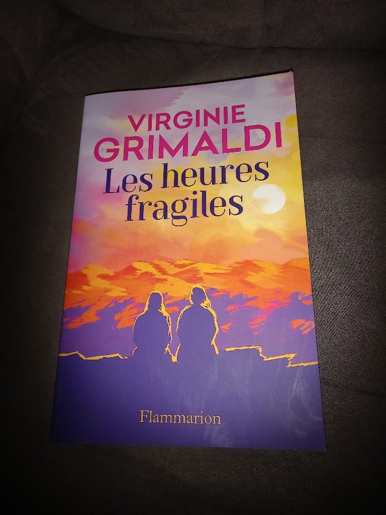 Livre heures fragiles Virginie grimaldi, Livres, Enlèvement ou Envoi