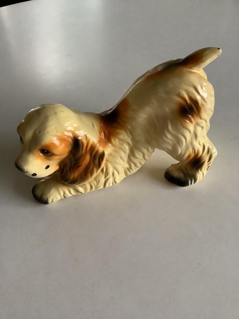 Image de chien, Enlèvement ou Envoi, Comme neuf