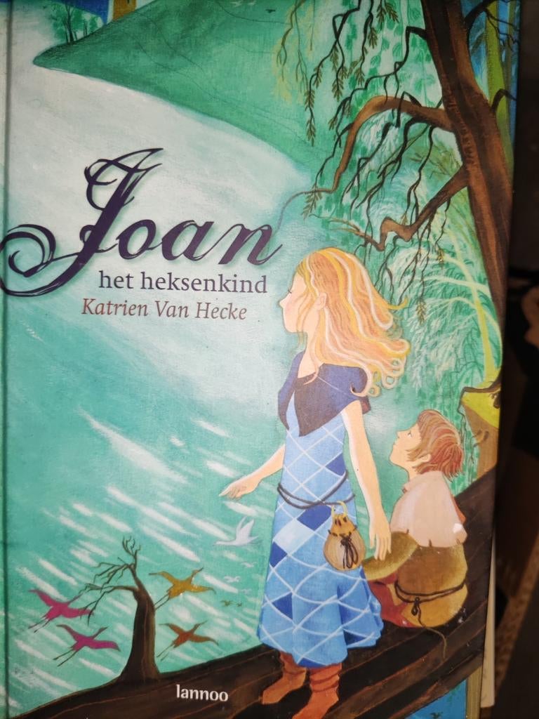 Joan het heksenkind, Boeken, Ophalen of Verzenden, Zo goed als nieuw