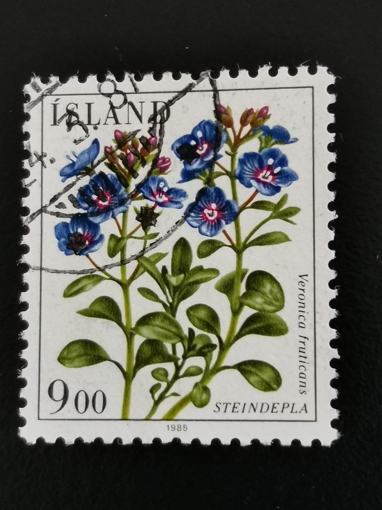 Ijsland 1985 - bloemen - Rotsereprijs, Ophalen of Verzenden, IJsland, Gestempeld