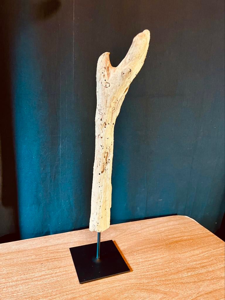Driftwood, Enlèvement, Neuf