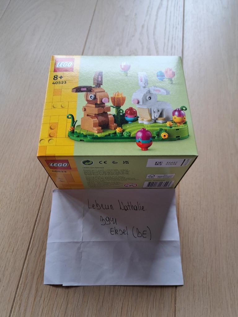 Lego 40523 Easter Rabbits, Enfants & Bébés, Jouets | Duplo & Lego, Neuf, Lego, Ensemble complet, Enlèvement ou Envoi