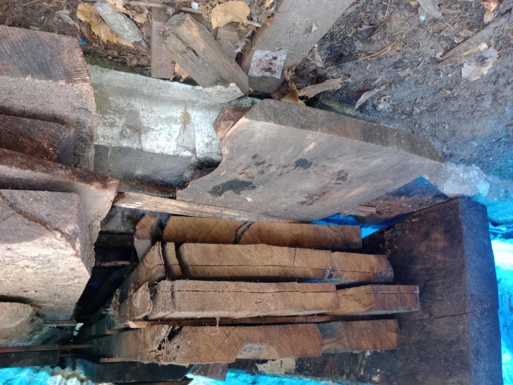 Eiken en Kastanje schaaldelen, Enlèvement, Neuf, 250 cm ou plus, Planches