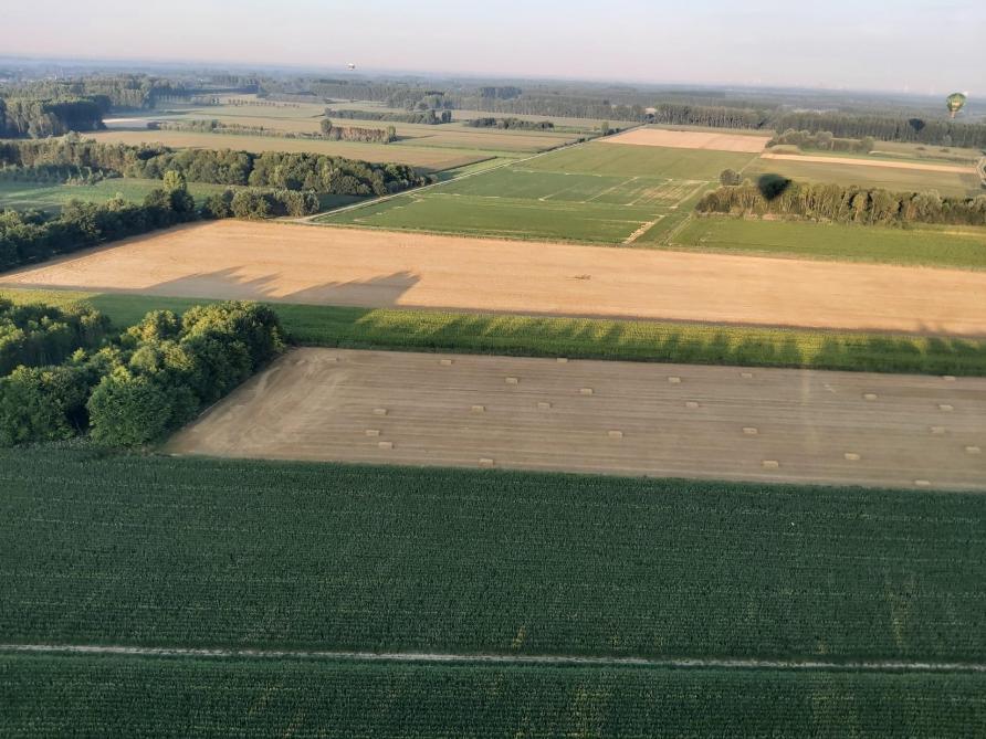 Gezocht landbouwgrond