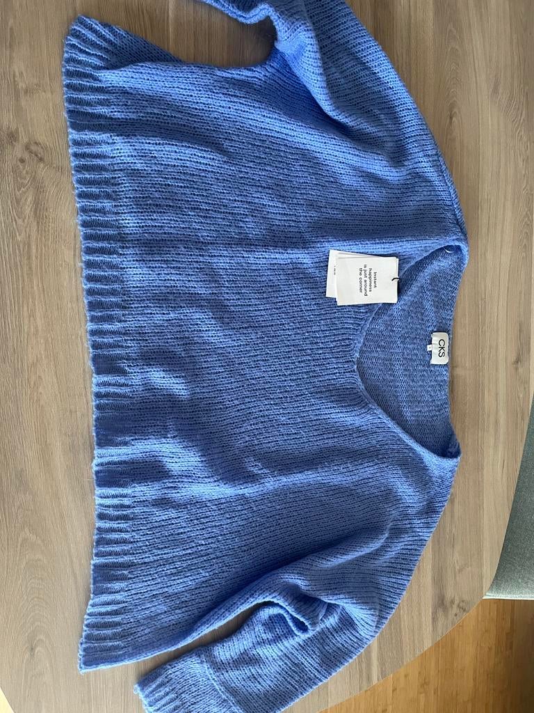 Lichtblauwe losse trui CKS maat S, Kleding | Dames, Ophalen of Verzenden, Zo goed als nieuw, Maat 38/40 (M)