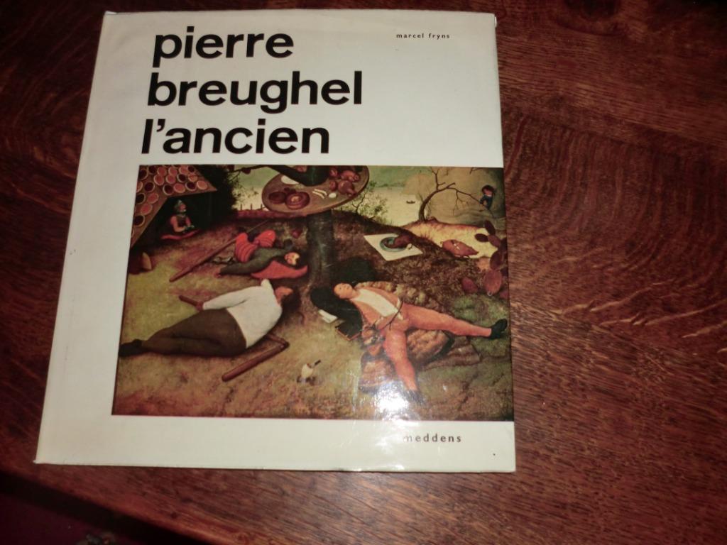 Kunstboek Pieter Breugel de Oude, Ophalen of Verzenden, Zo goed als nieuw, Kunst en Cultuur