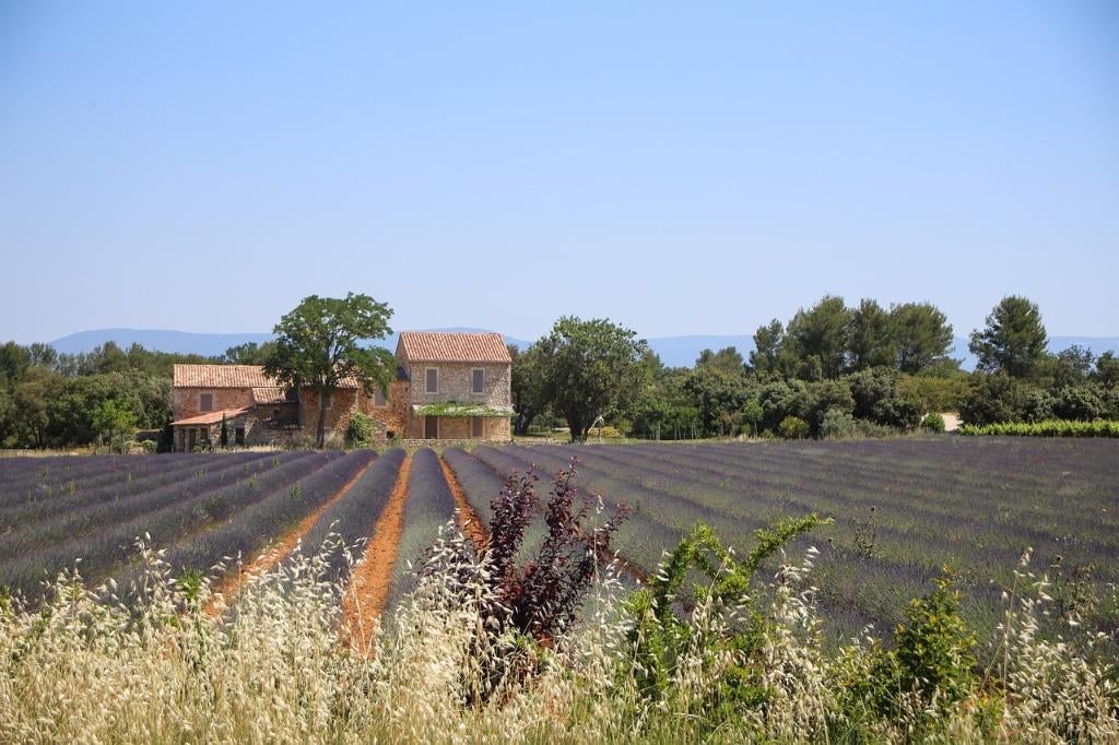 Vacances dans Mas en Pierre avec piscine en Provence, Village, Maison de campagne ou Villa, Agence de location, 4 chambres ou plus