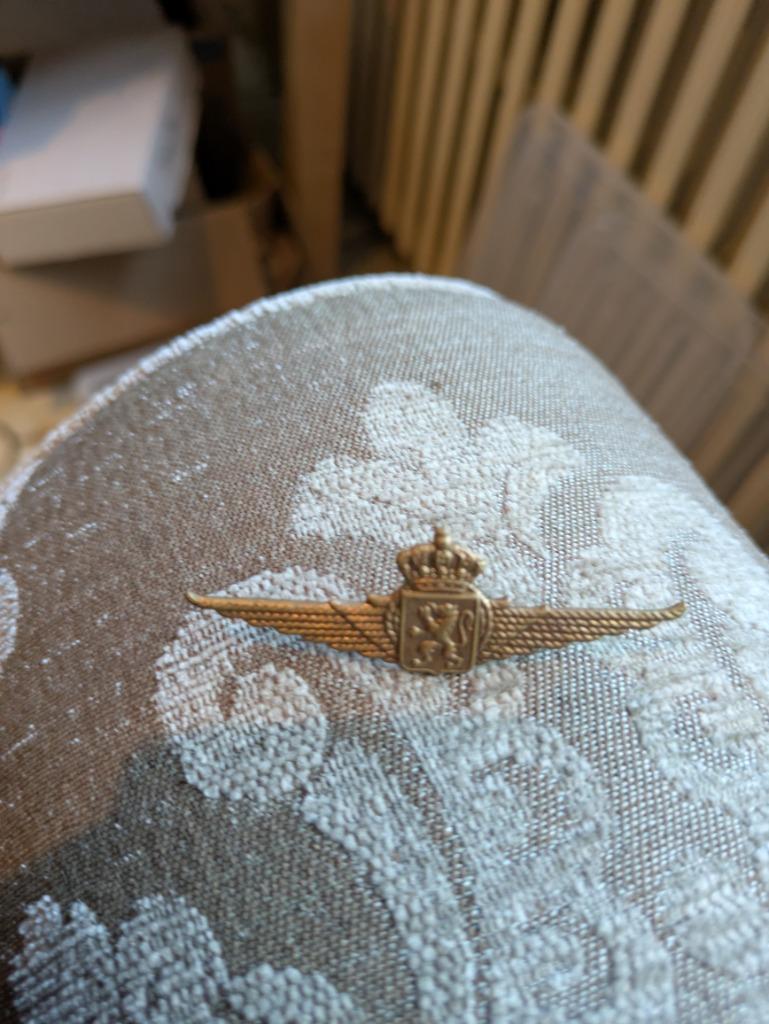 Mutskenteken, Enlèvement ou Envoi, Armée de l'air, Emblème ou Badge