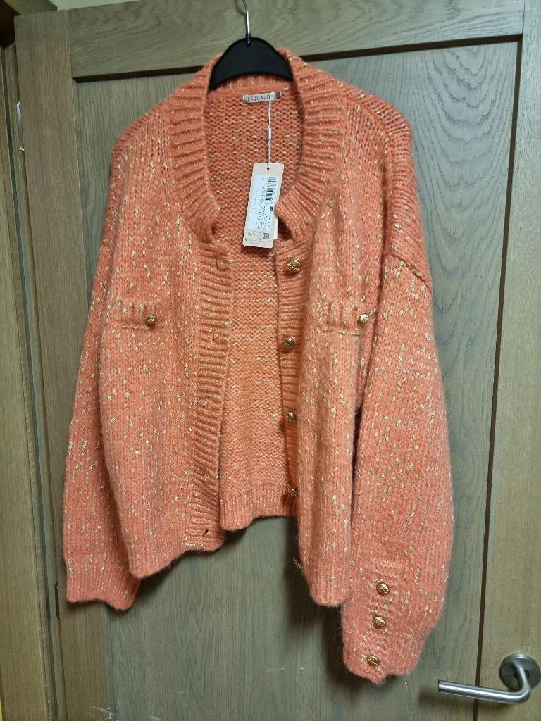 Vest esqualo maat xxl nieuw prijsdaling, Neuf, Taille 46/48 (XL) ou plus grande, Enlèvement ou Envoi, Esqualo