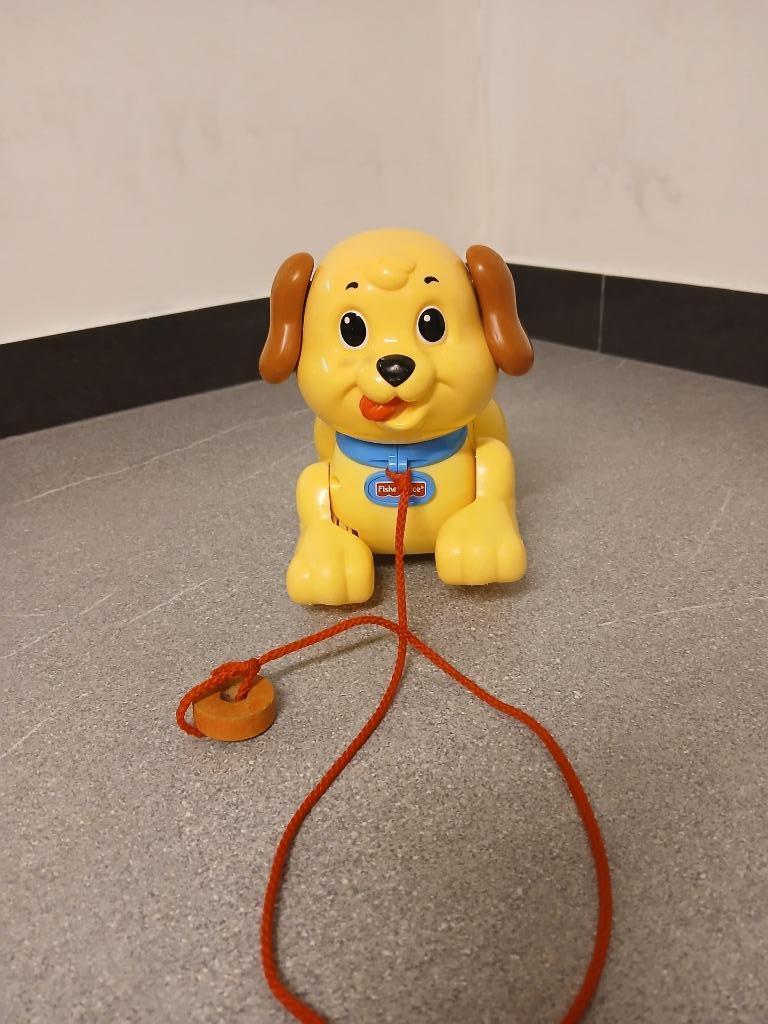 Fisher price hondje, Ophalen of Verzenden, Zo goed als nieuw, Duw- of Trekspeelgoed