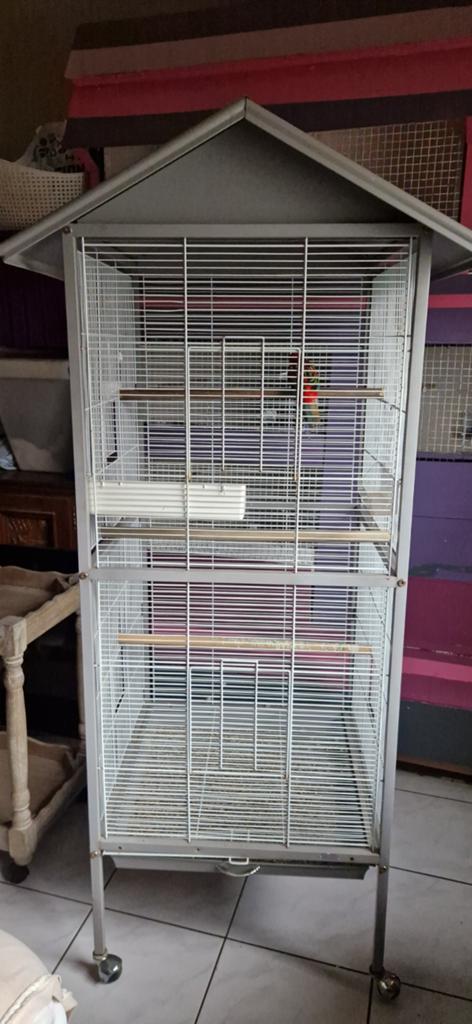 Grote vogelkooi met vogel (Rosella), Dieren en Toebehoren