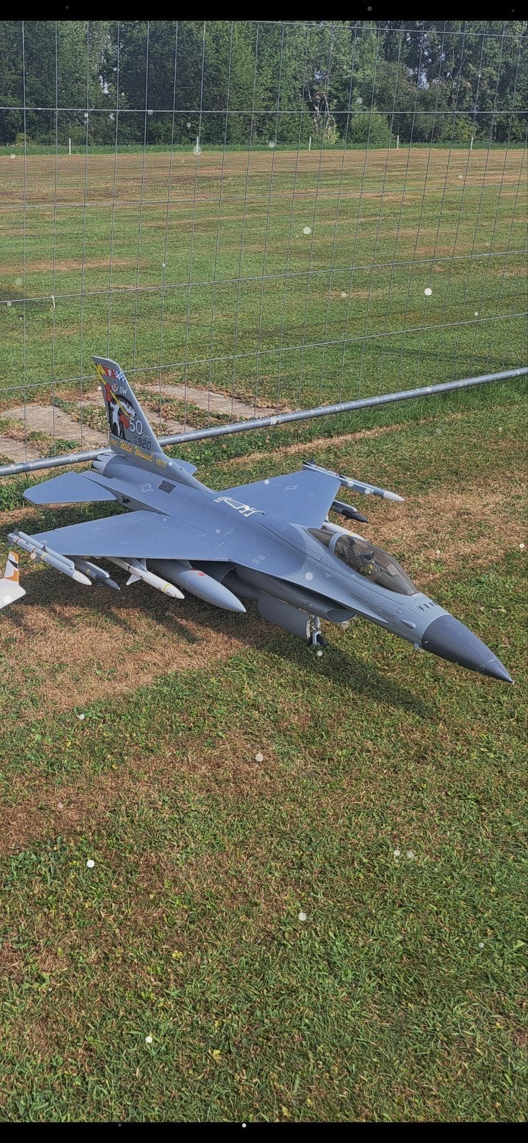 eflite f16, Hobby & Loisirs créatifs, Modélisme | Radiocommandé & Téléguidé | Avions, Enlèvement
