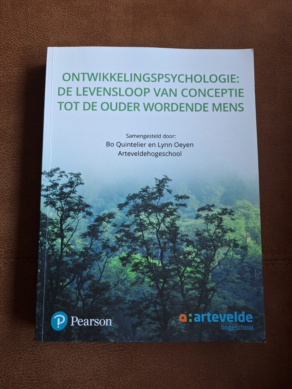 Ontwikkelingspsychologie: de levensloop van conceptie tot de, Boeken, Psychologie, Ophalen of Verzenden, Zo goed als nieuw, Ontwikkelingspsychologie