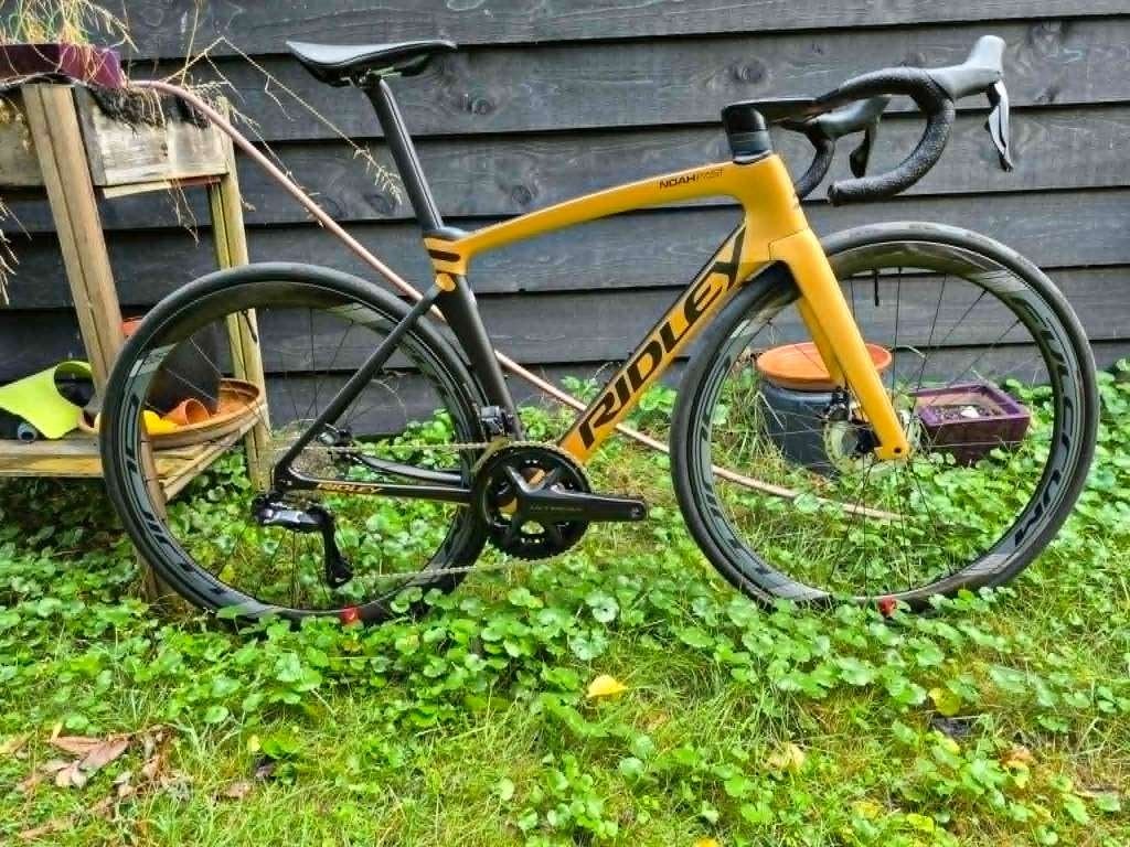 Nieuwe Ridley Noah Fast, Neuf, Enlèvement ou Envoi, 49 à 53 cm, 28 pouces