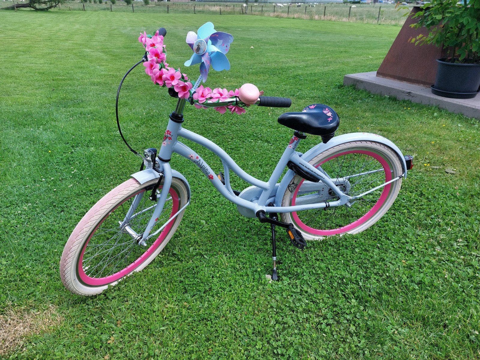 Alpina ocean meisjesfiets 22 inch, Fietsen en Brommers, Ophalen, 22 inch