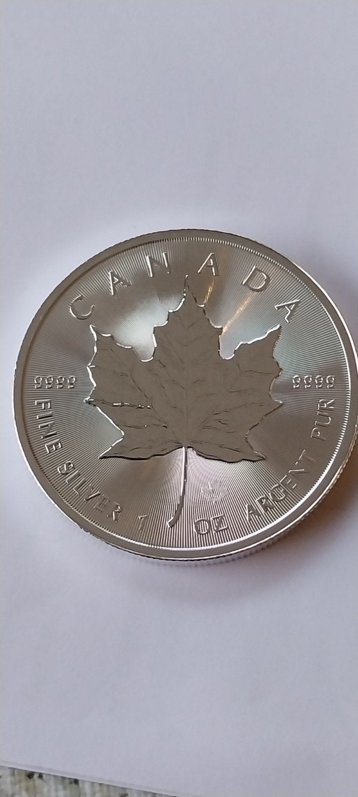1 oz zilver maple leaf 2026, Ophalen of Verzenden, Zilver