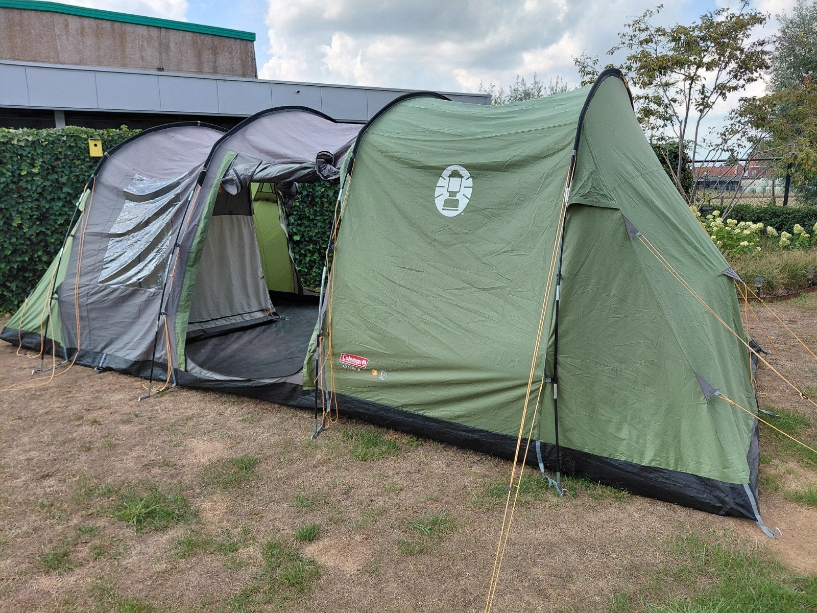Coleman Cook 6 tent, Caravanes & Camping, Enlèvement, Comme neuf, Jusqu'à 6