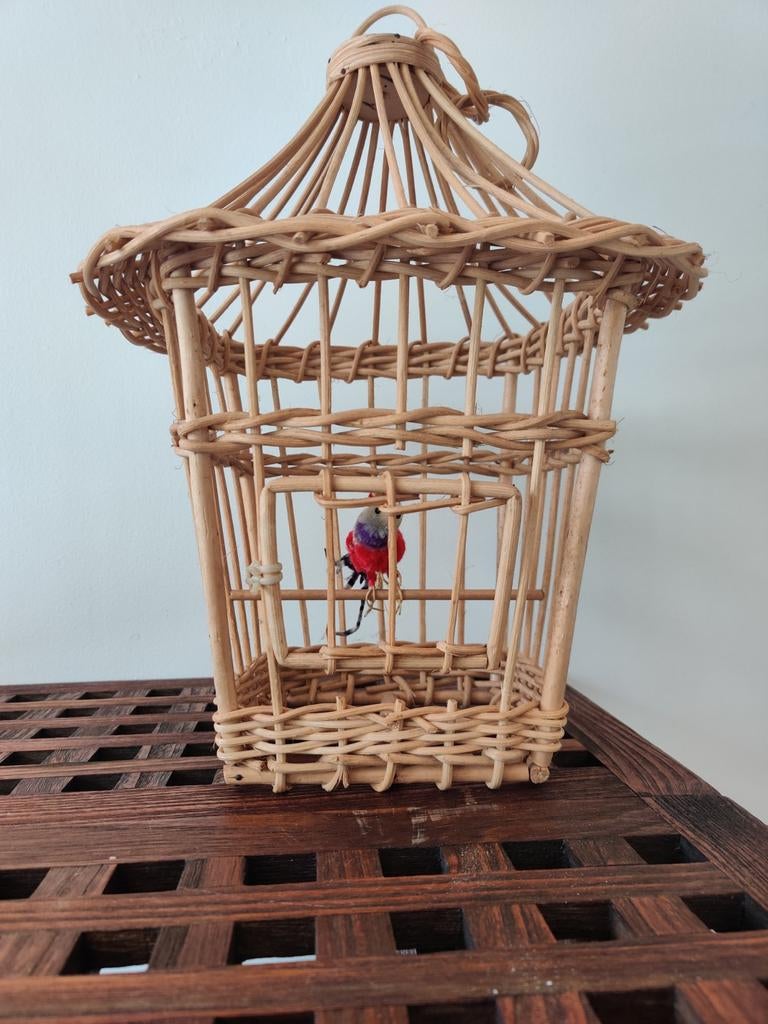 Decoratieve vogelkooi met rood vogeltje – mooie blikvanger, Ophalen