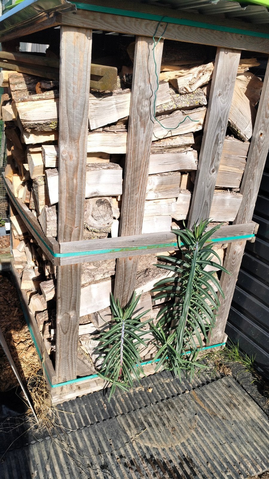 brandhout , 2 jaar gedroogd, beuk en wilg ( 90€/stere), Ophalen