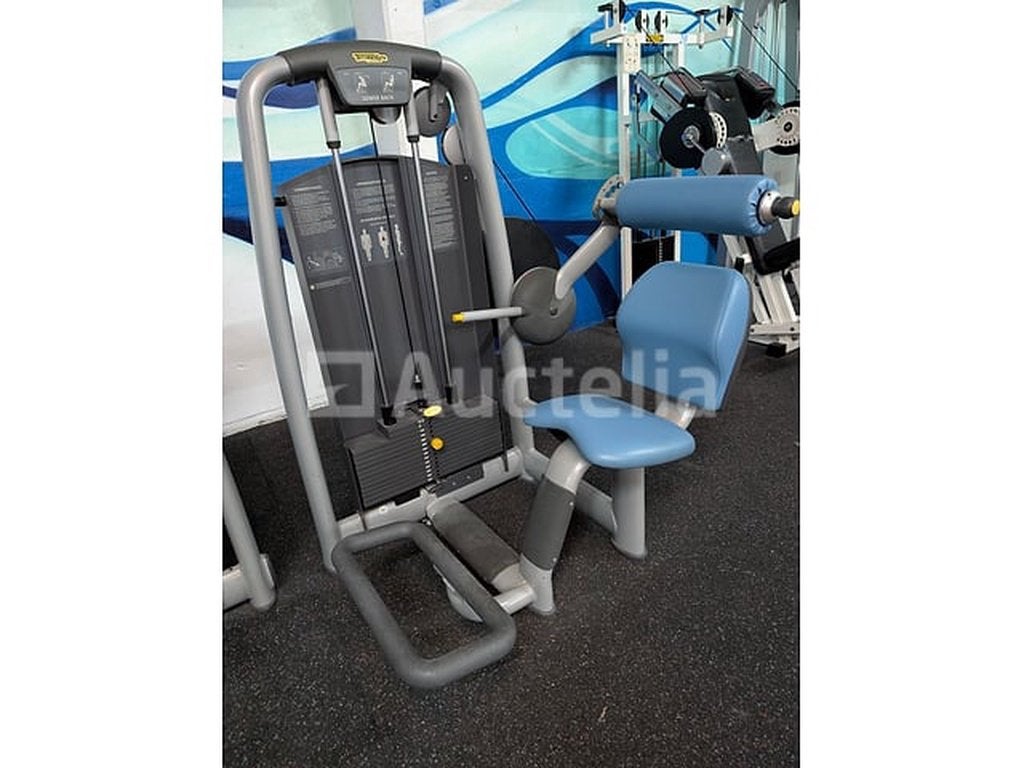 Machine professionnelle de musculation lombaire - Technogym