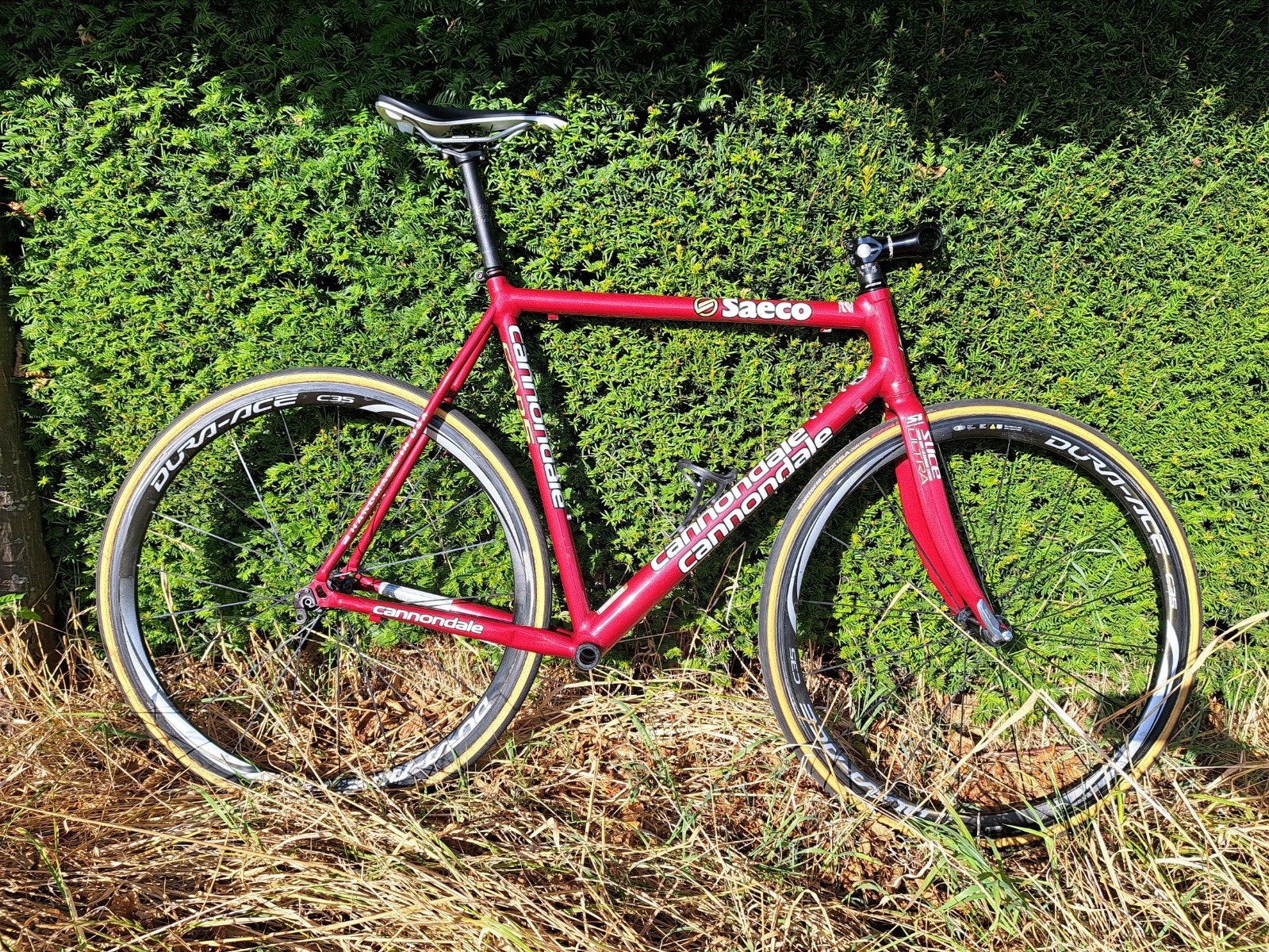 Cannondale CAAD5 Saeco Frameset – Maat 56 – Rood, Fietsen en Brommers, Fietsen | Racefietsen, Ophalen, Aluminium