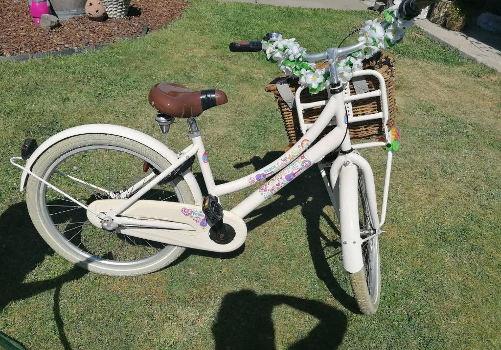 Fiets torpedo 12inch, Enlèvement, Utilisé, Moins de 16 pouces, Alpina Meisjesfiets