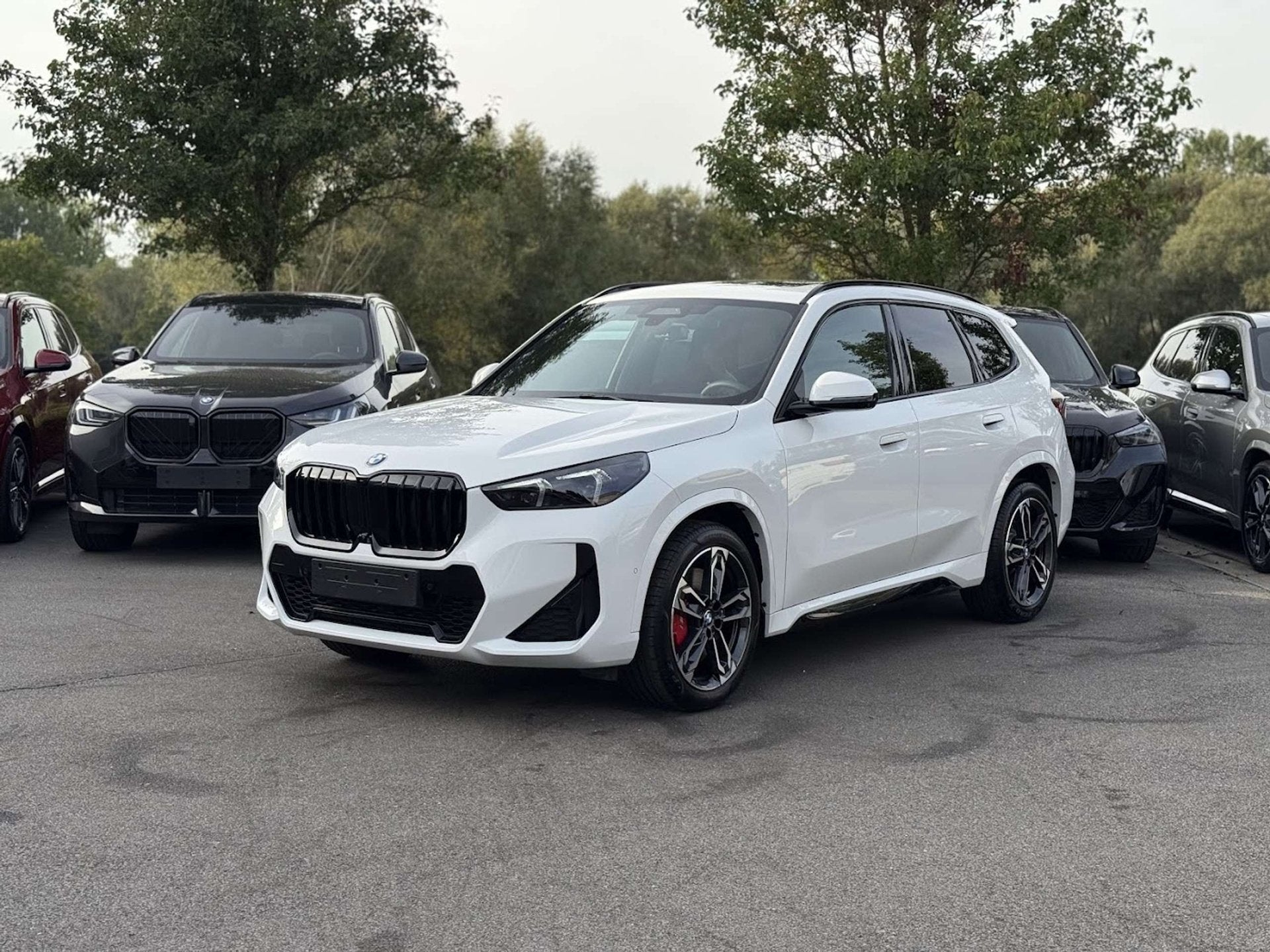 BMW X1 sDrive18i M Sport Pro / M SEAT / DRIV PROF / PANO / H, Achat, Euro 6, https://public.car-pass.be/vhr/0502b6be-b6a3-4a91-bef0-be8863686907