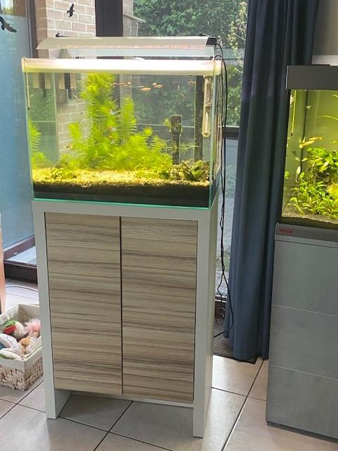 Donne aquarium de 100l, Dieren en Toebehoren, Ophalen, Gebruikt, Inclusief toebehoren, Leeg aquarium