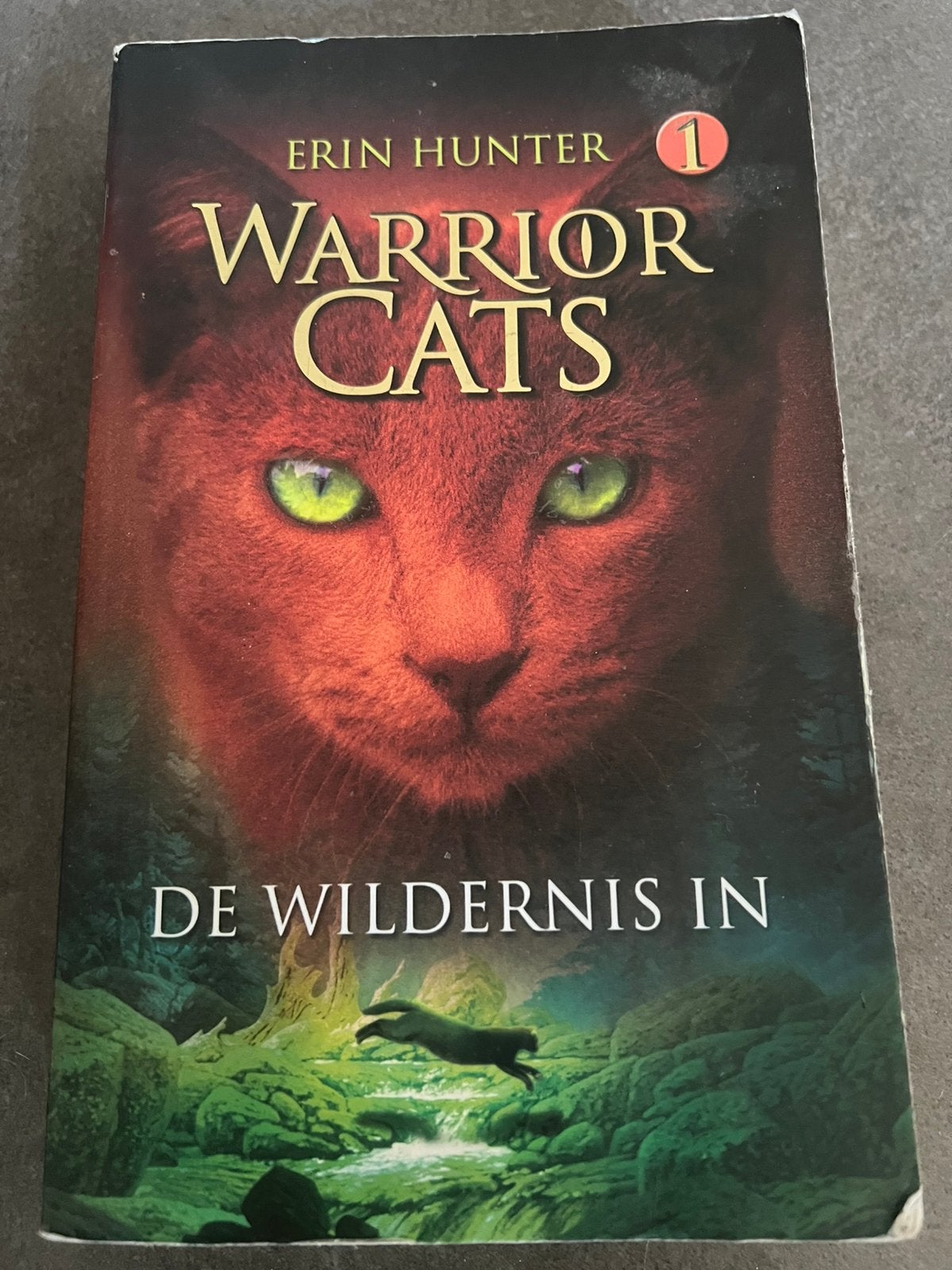 Boek: Warrior Cats 1 de wildernis in., Ophalen of Verzenden, Gelezen, Fictie