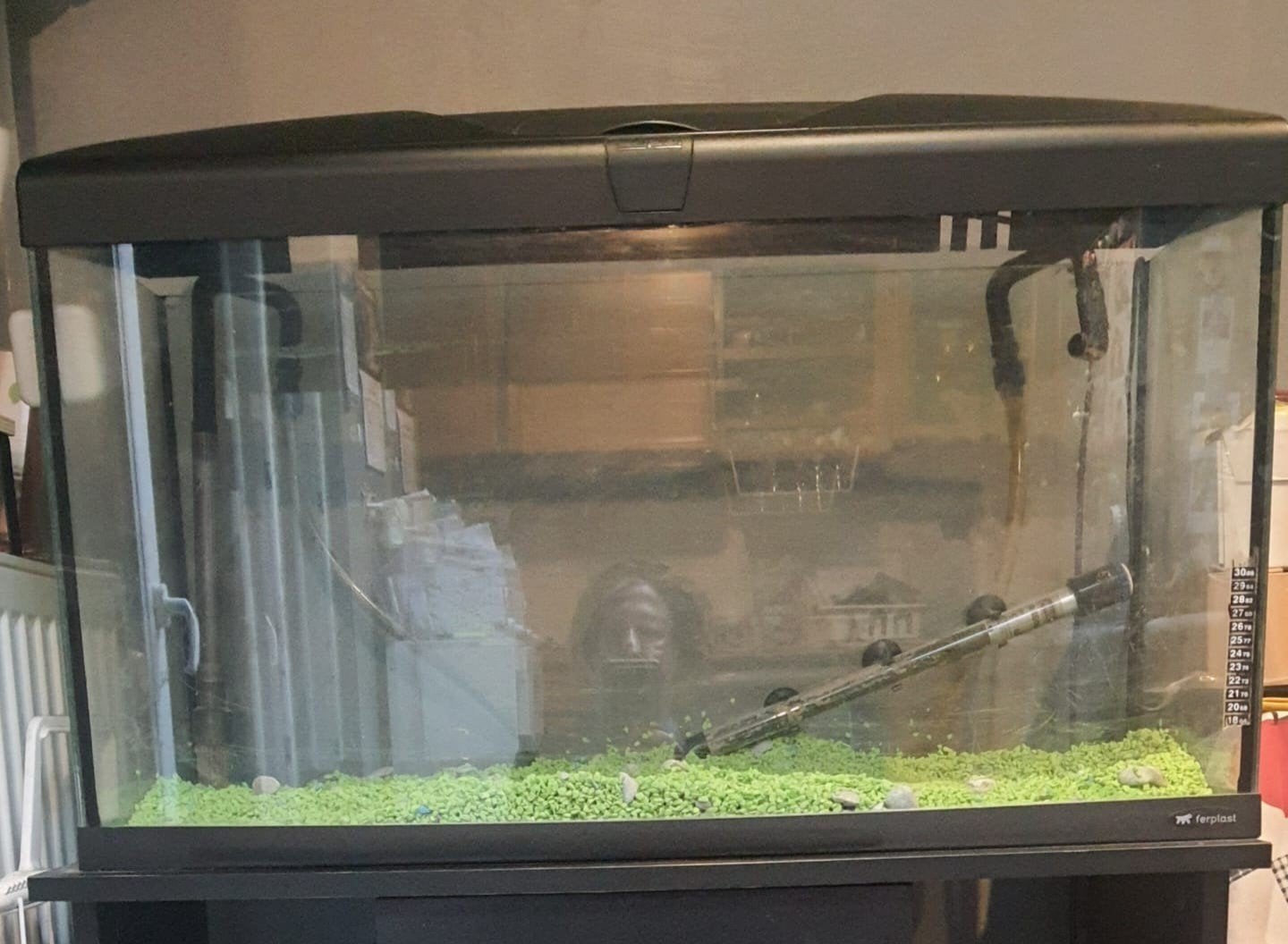 aqaurium breedte 79cm hoogte 45cm, Dieren en Toebehoren, Ophalen