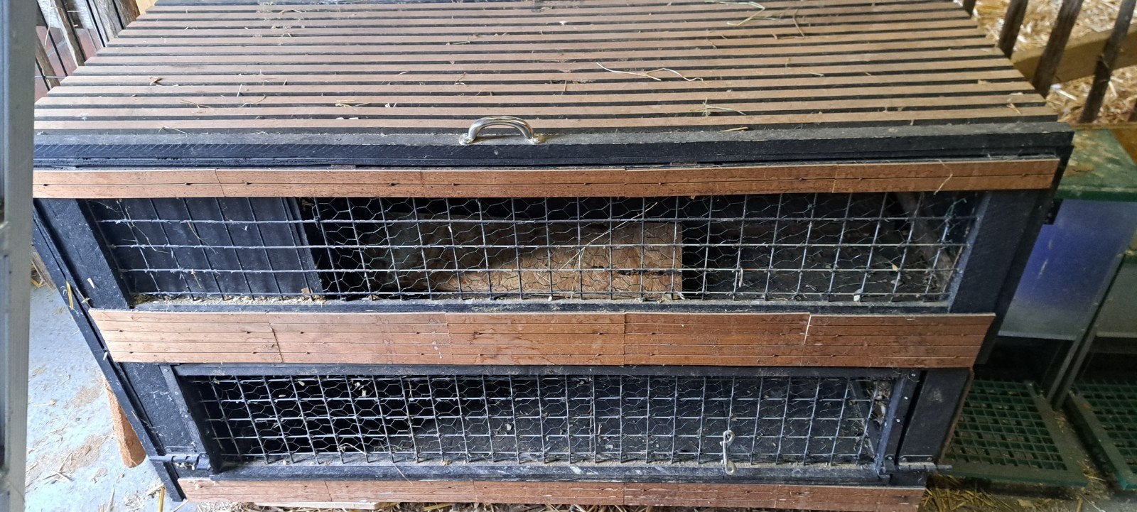 konijn - cavia hok, Dieren en Toebehoren, Ophalen, Gebruikt