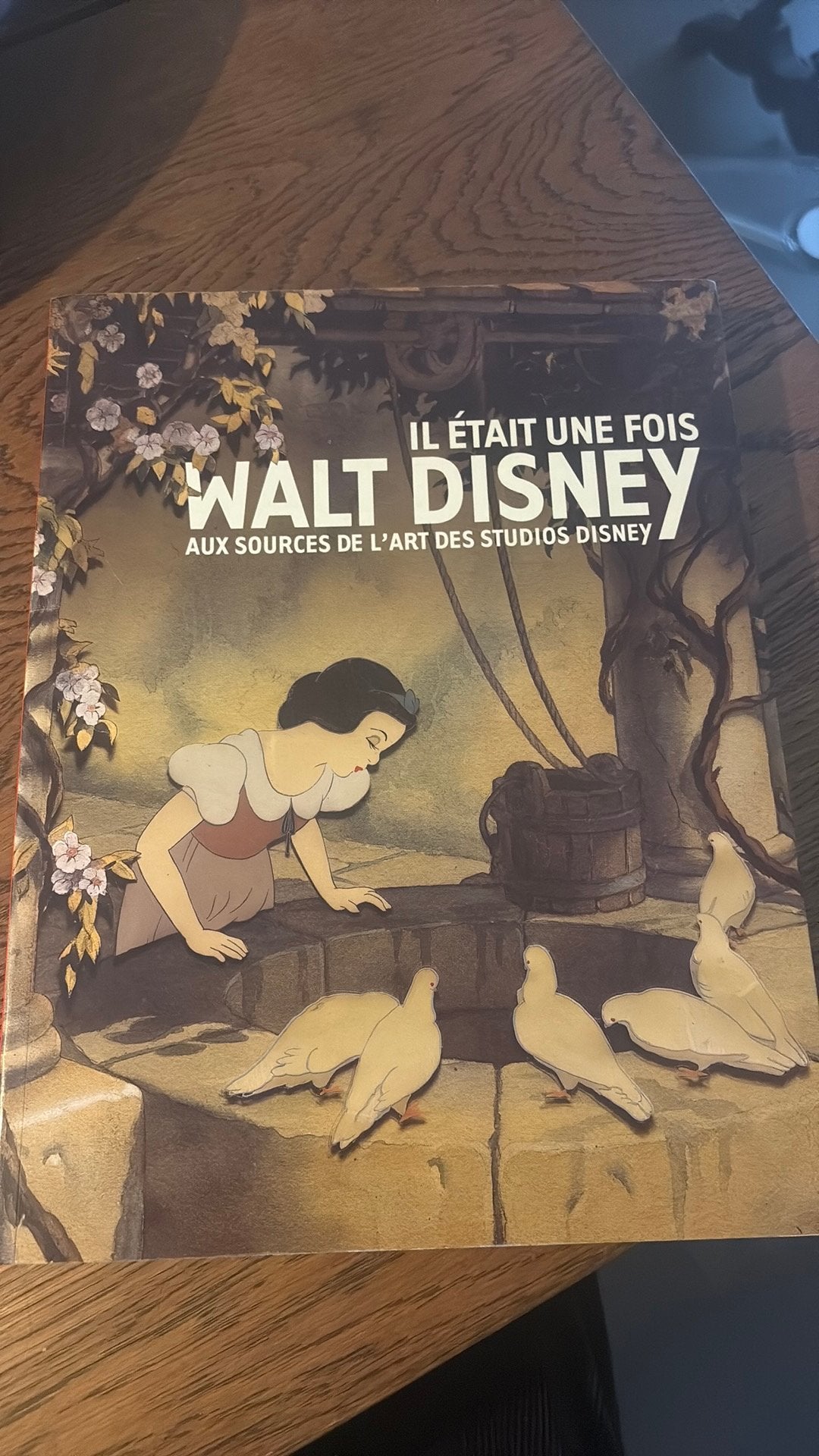Walt Disney aux sources de l’art des studios Disney, Livres, Enlèvement ou Envoi, Comme neuf