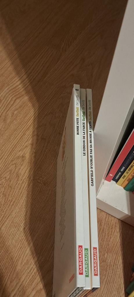 Bad Garfield, Boeken, Meerdere stripboeken, Ophalen of Verzenden, Zo goed als nieuw