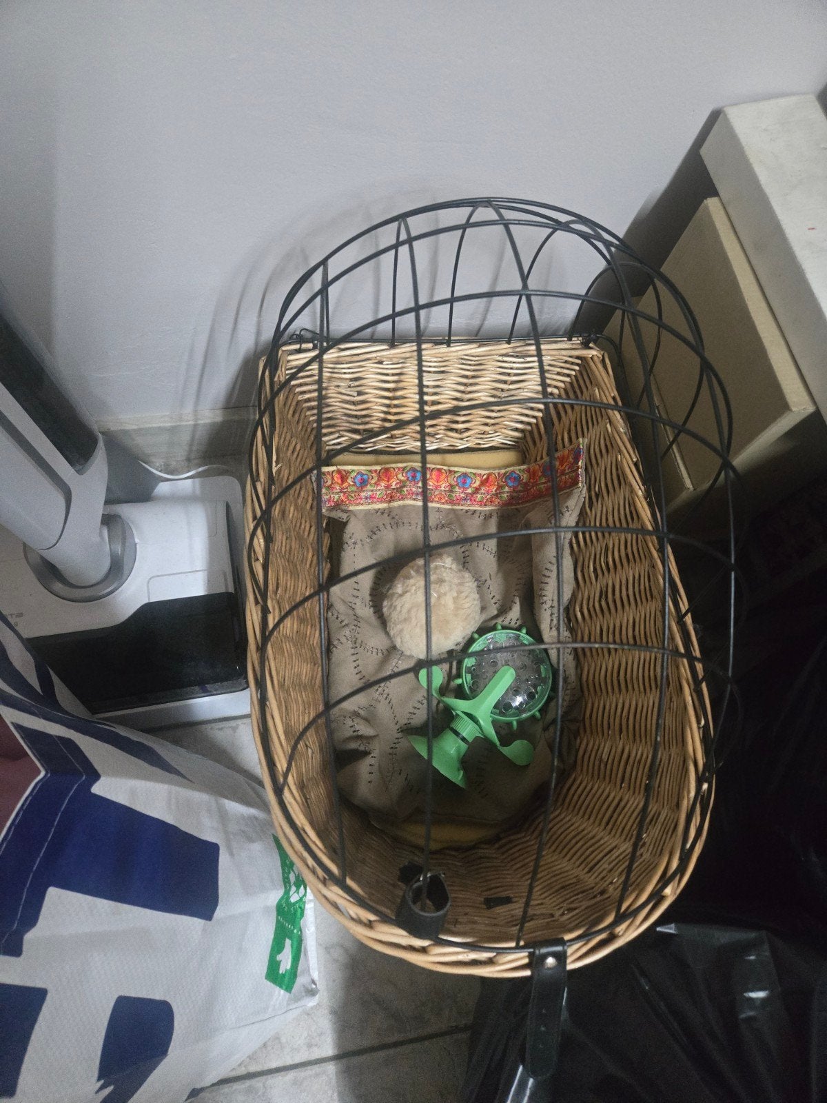 Katten mand voor fiets ( kan ook voor klein hondje), Dieren en Toebehoren, Ophalen