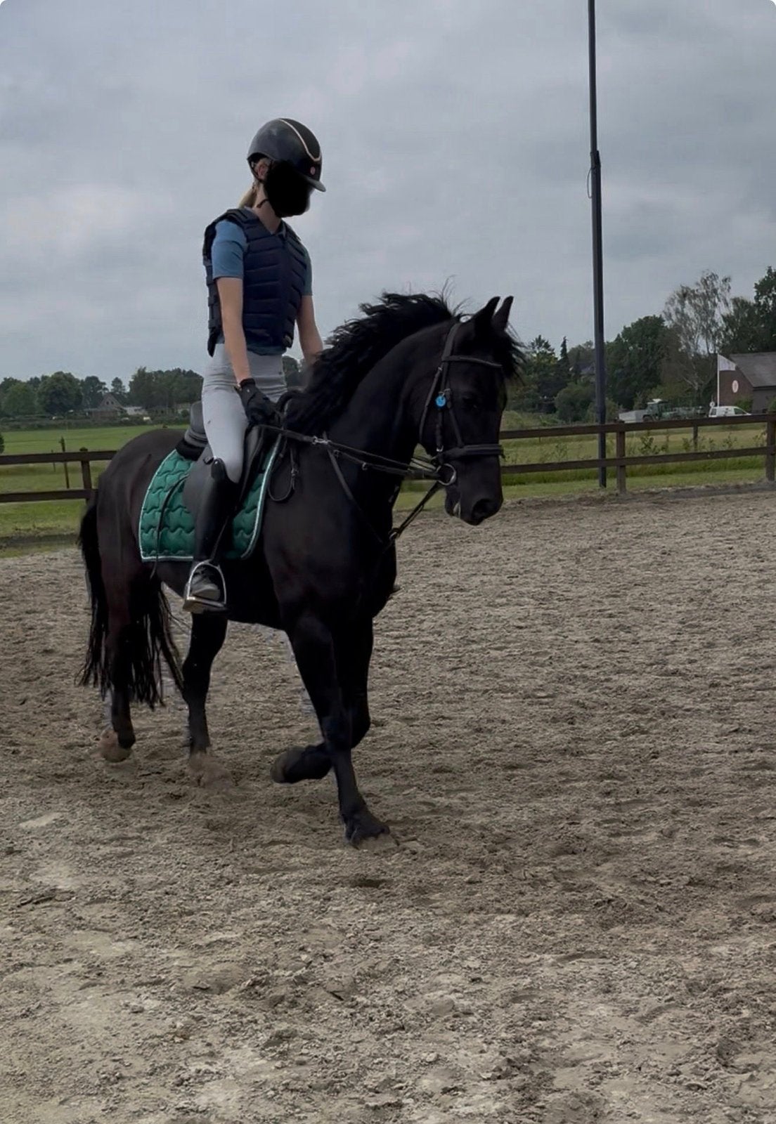 Lieve D pony, Dieren en Toebehoren, Ruin, D pony (1.37m tot 1.48m)