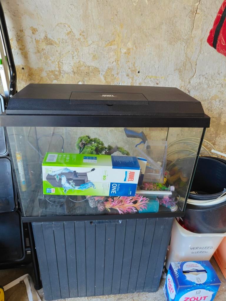 Aquarium Juwel, Dieren en Toebehoren, Ophalen, Decoratie, Juwel