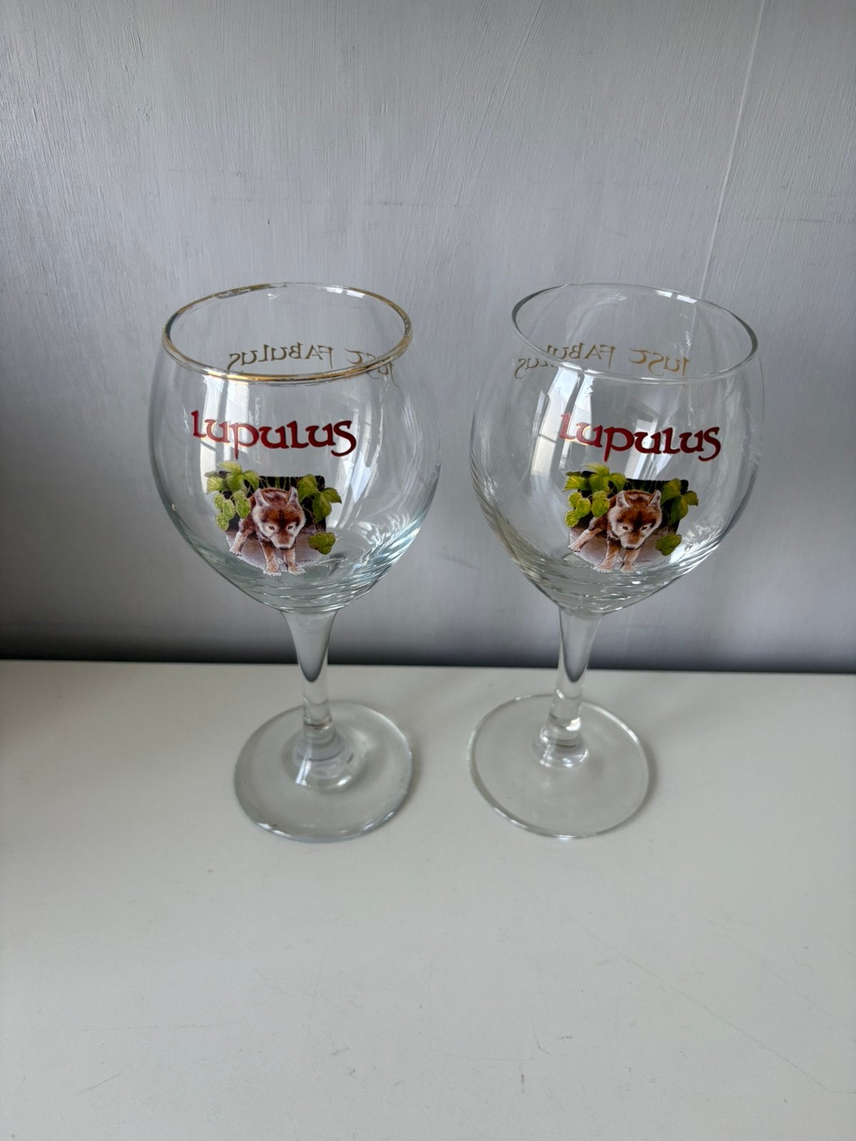 2 LUPULUS-glazen, 25 cl, Verzamelen, Biermerken, Ophalen of Verzenden, Nieuw