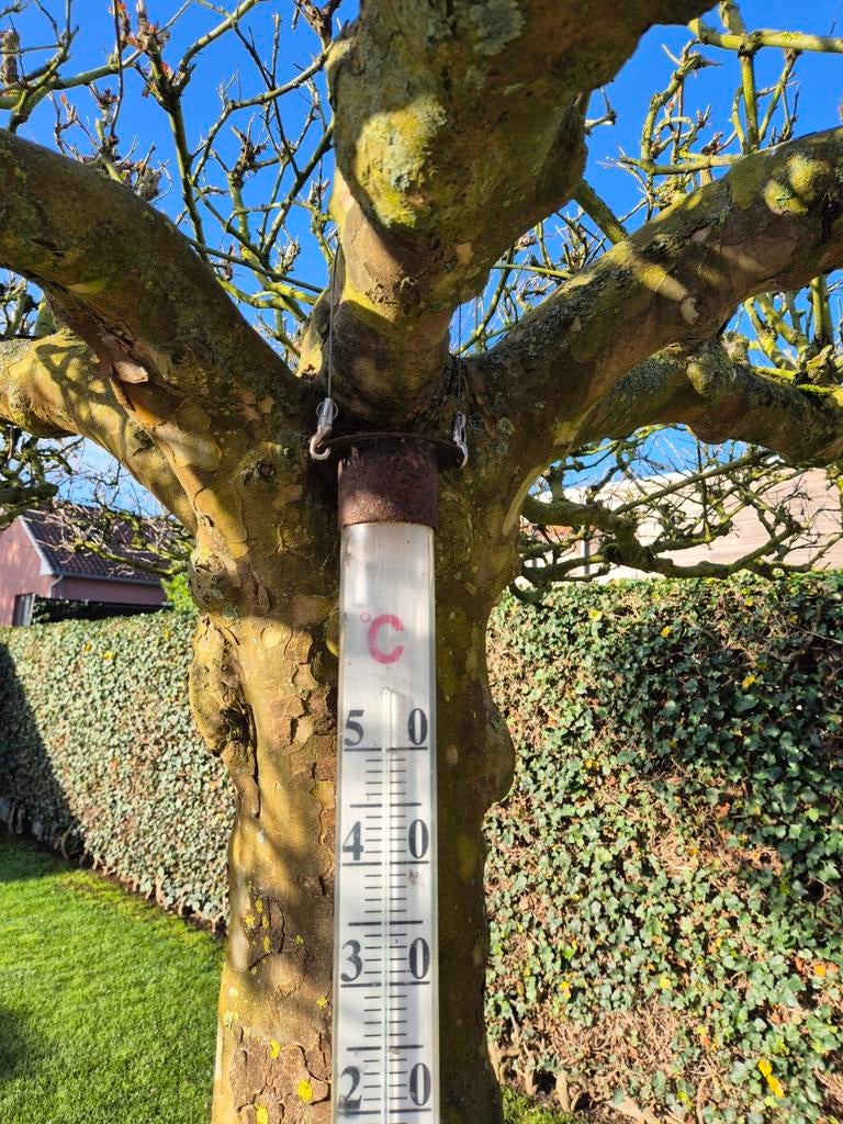 Zeldzame antieke buiten thermometer, Ophalen