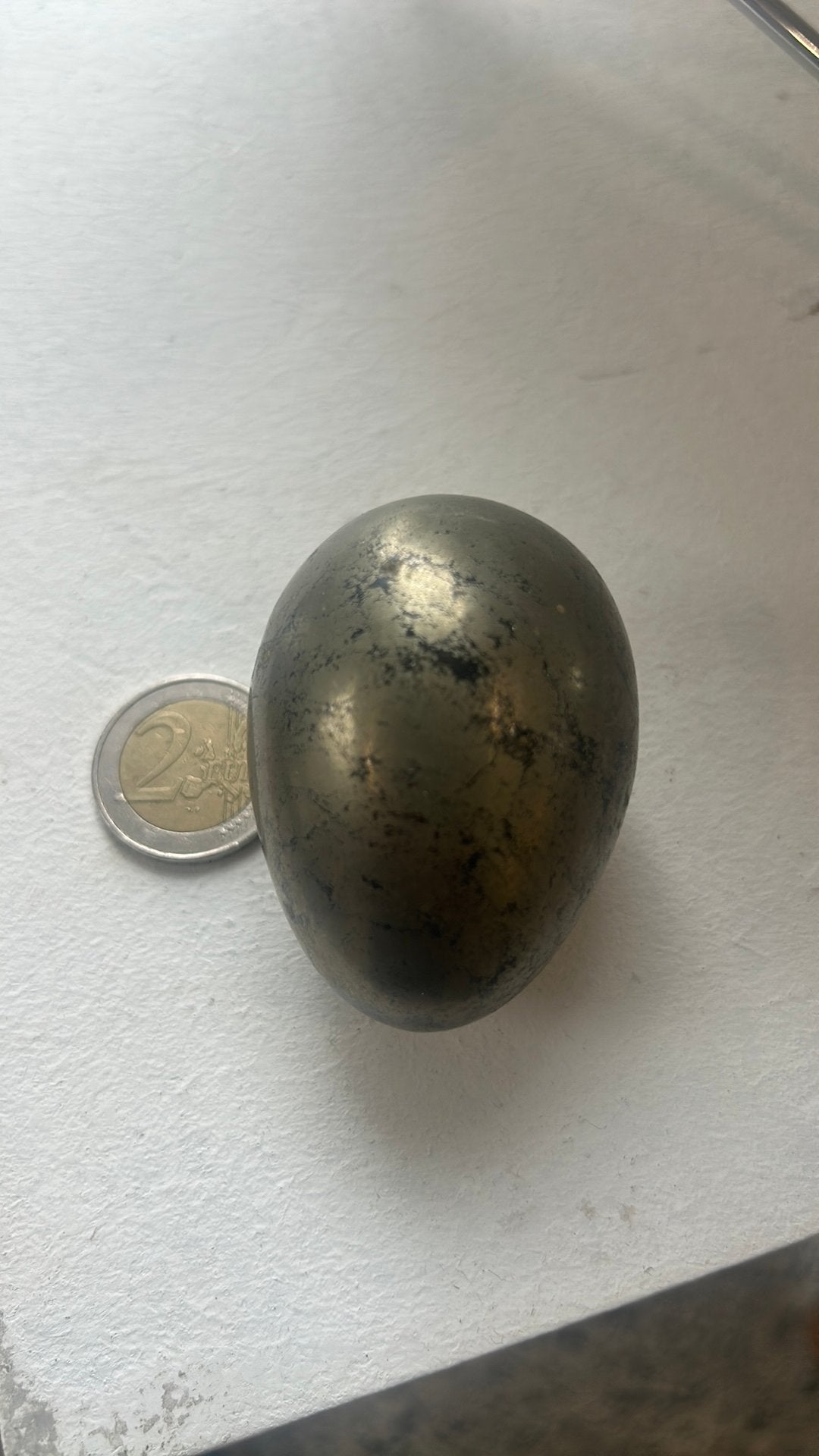 œuf poli en pyrite  ou chalcopyrite et de la pyrite), Ophalen of Verzenden