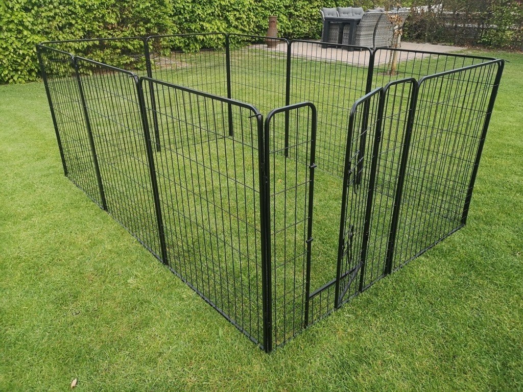 Robuuste kippenren 100XXL (800 cm omtrek), Ophalen, Nieuw, Kippenhok of Kippenren