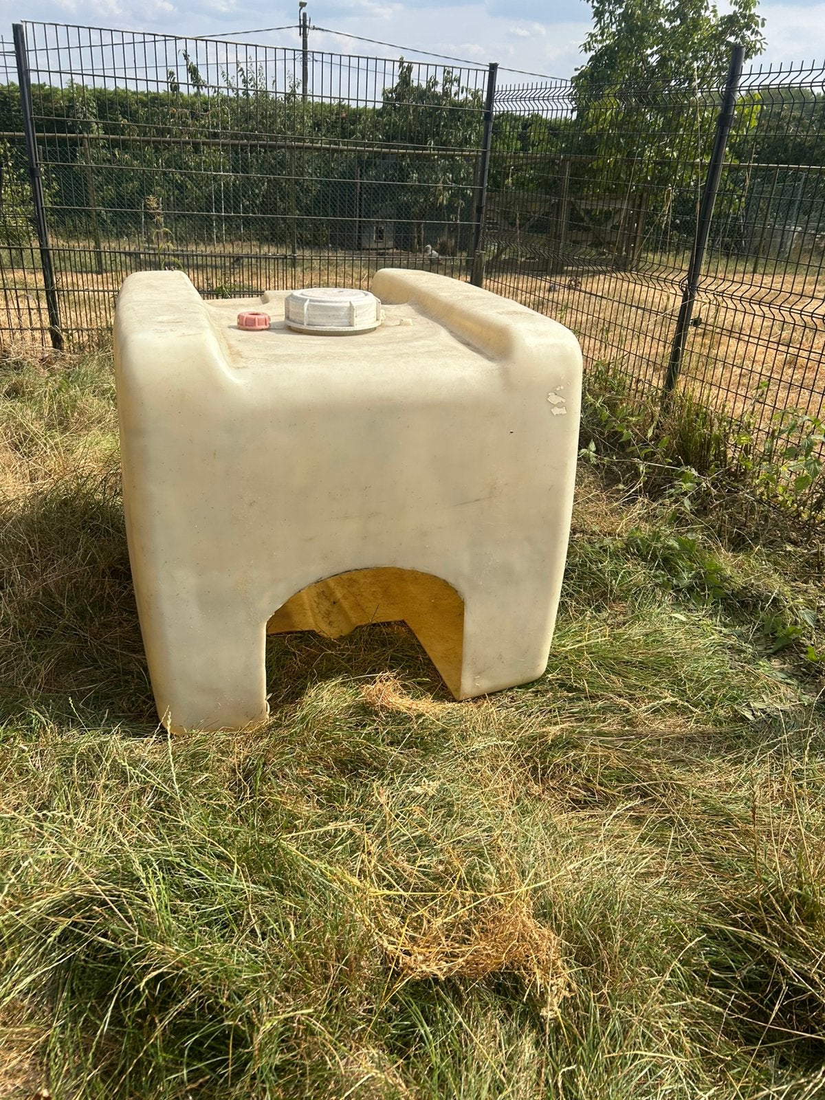 Schuilhok kippen, Dieren en Toebehoren