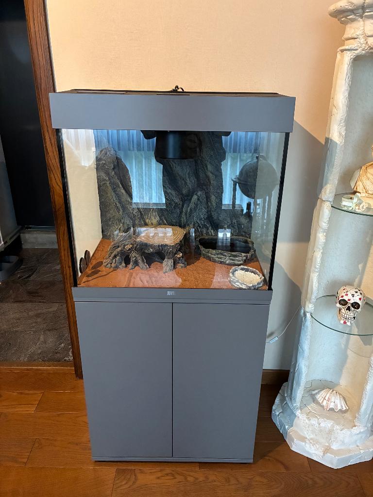 Terrarium + toebehoren, Dieren en Toebehoren, Ophalen, Zo goed als nieuw, Terrarium of Paludarium