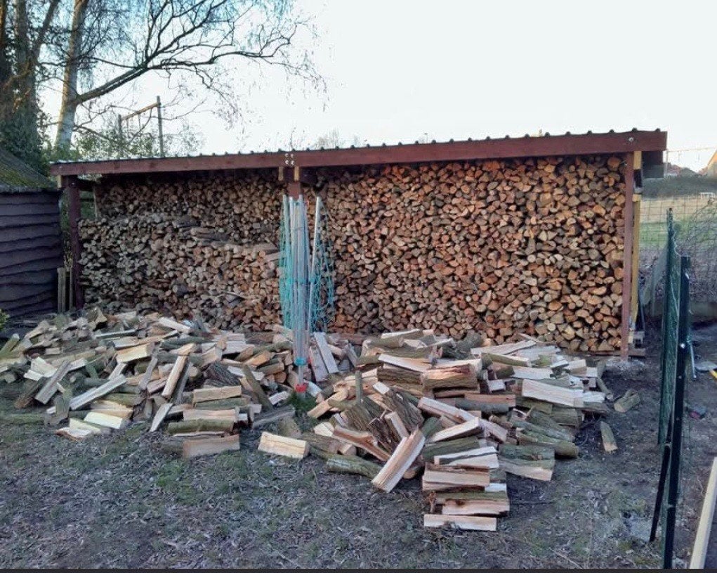 bois de chauffage, Jardin & Terrasse, Envoi, Hêtre, Bûches