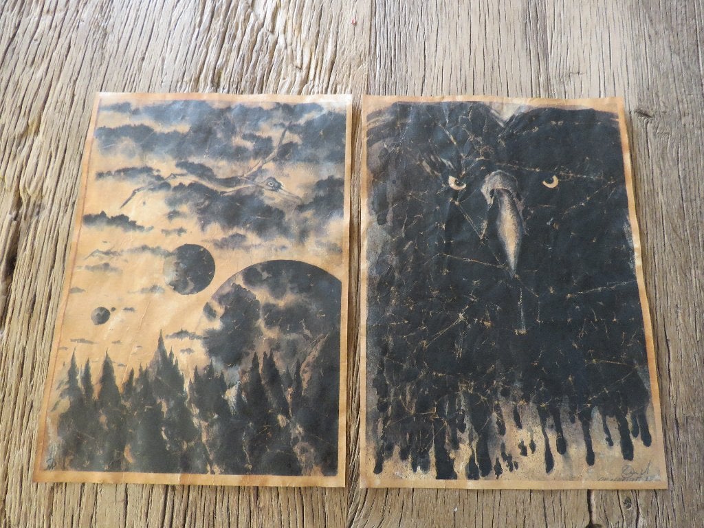 Corbeau à oiseaux Aquateint, lot de 2, Enlèvement ou Envoi