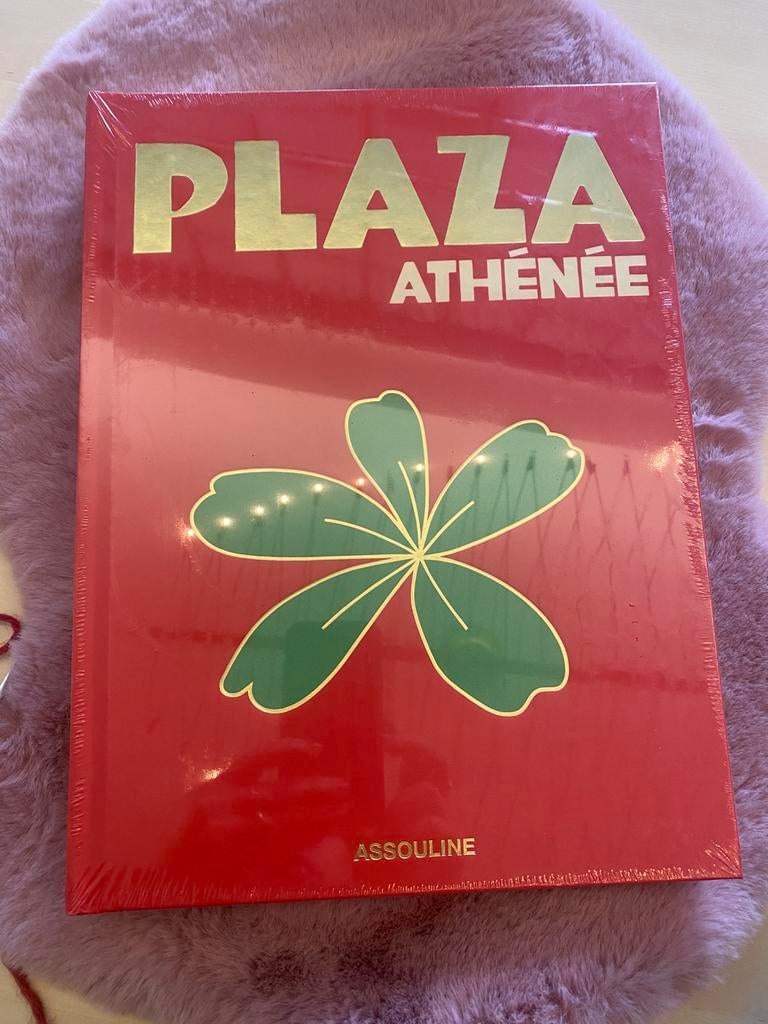 Assouline boek, Livres, Enlèvement ou Envoi, Neuf, Autres sujets/thèmes